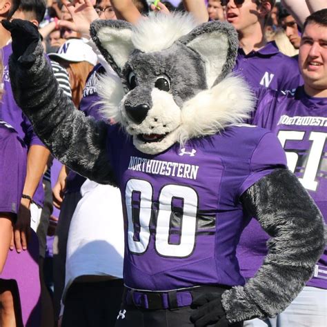 Keeping the Spirit Alive: Willie the Wildcat's Role in K-State Alumni Events